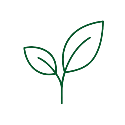 Environment & Sustainability